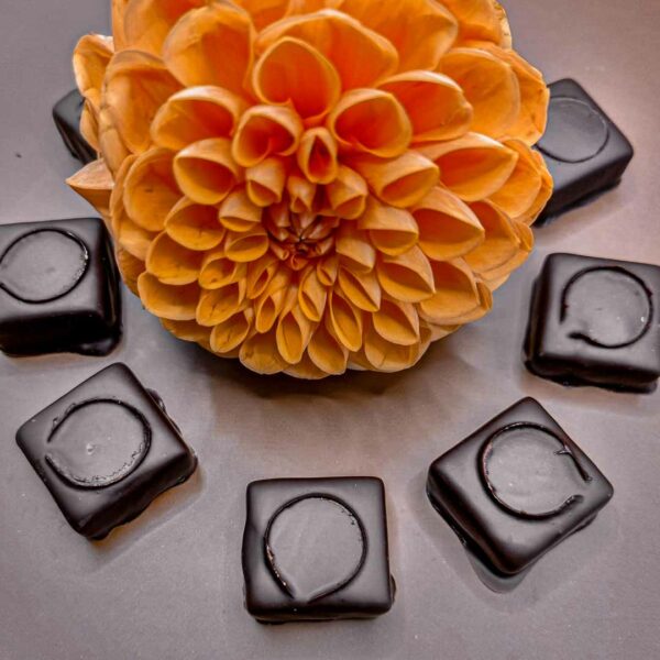 chocolats autour d'une fleur orange